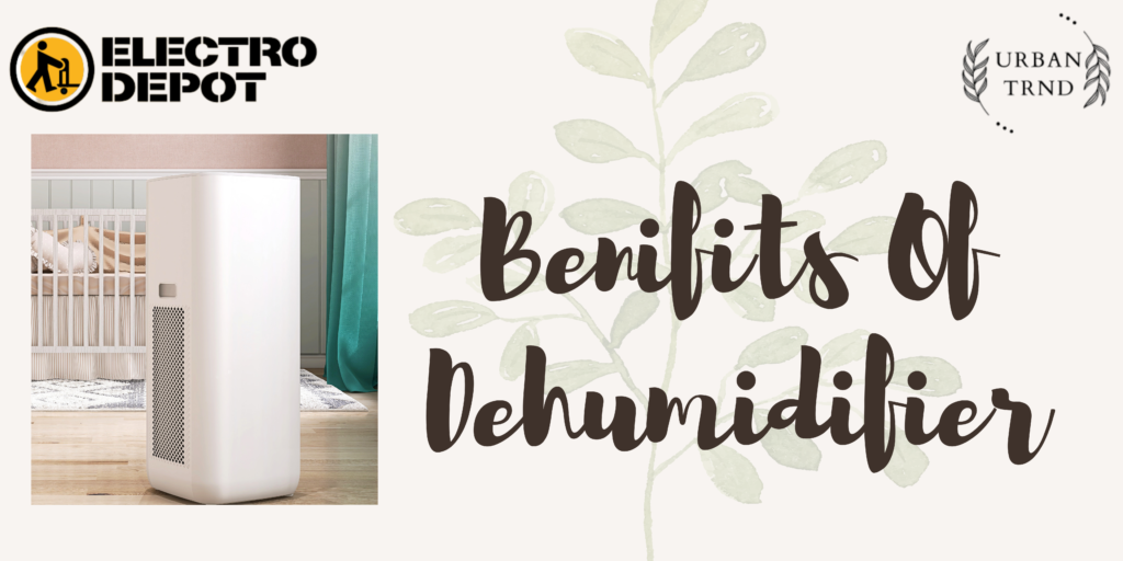 The Benefits of Dehumidifiers How to Keep Your Home Healthy